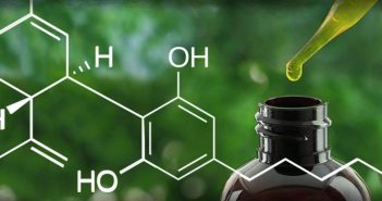 Quel pourcentage de CBD choisissez-vous ?